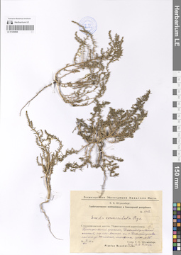 LE 01204968
