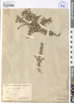 LE 01206170