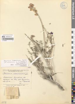 LE 01280945