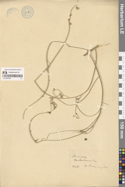 LE 01297029
