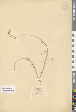 LE 01297030