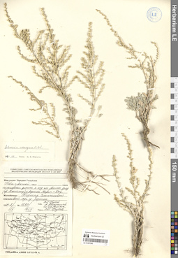 LE 01297080