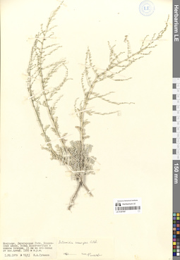 LE 01297087