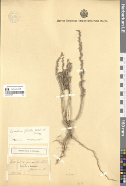 LE 01297097