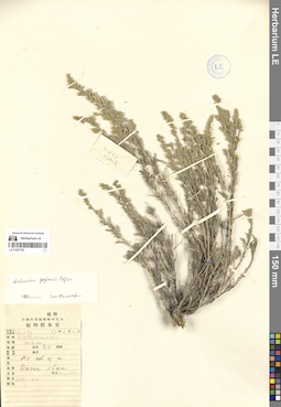 LE 01297102
