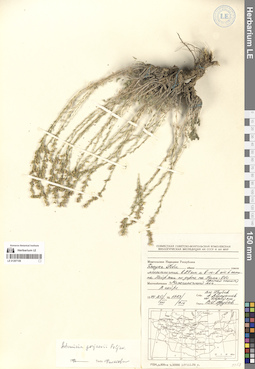LE 01297106