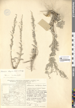 LE 01297114