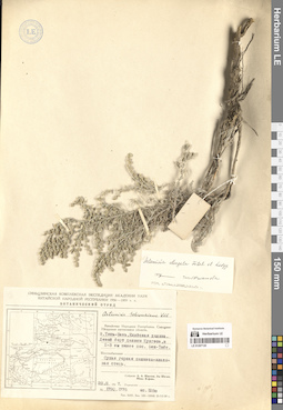 LE 01297120