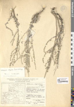 LE 01297121