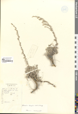 LE 01297123