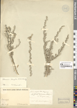 LE 01297126