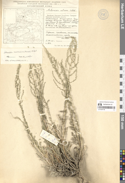LE 01297138