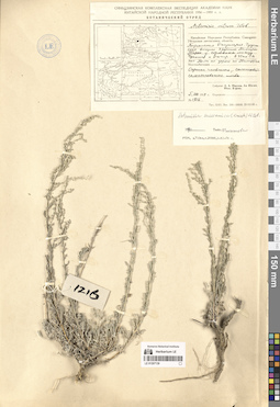 LE 01297139