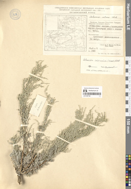 LE 01297140