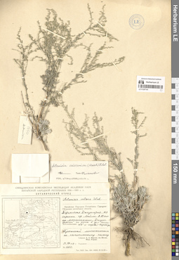 LE 01297141