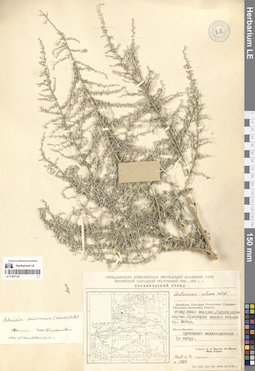 LE 01297142