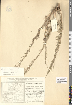 LE 01297145