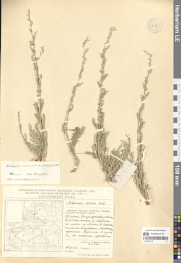LE 01297147