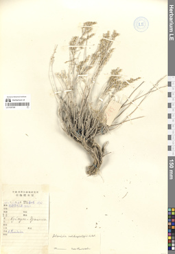 LE 01297208