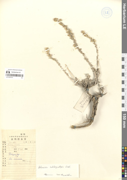 LE 01297213