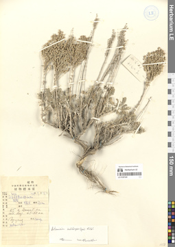 LE 01297220