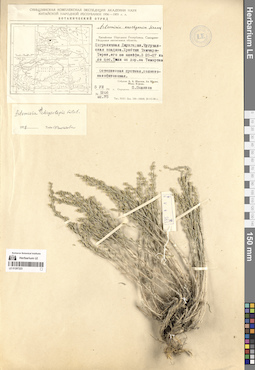LE 01297223