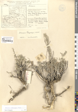 LE 01297225