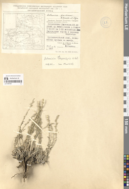 LE 01297230