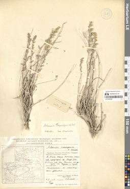 LE 01297248