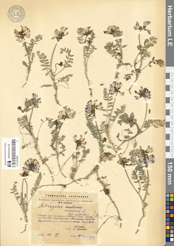 LE 01293880