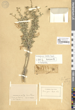 LE 01297275