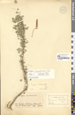 LE 01297329