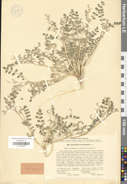 LE 01036279