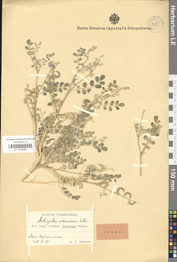 LE 01036280