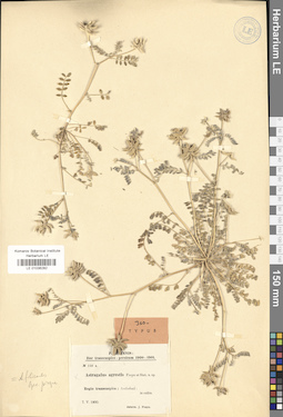 LE 01036282
