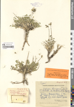 LE 01083417