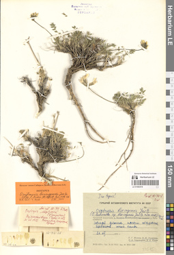 LE 01083418