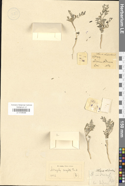 LE 01036298