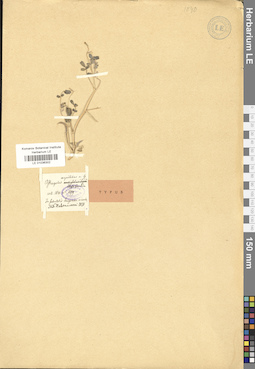 LE 01036302
