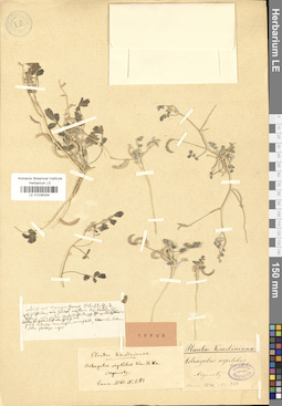 LE 01036304