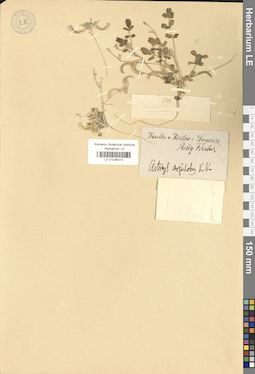 LE 01036313