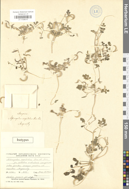 LE 01036315