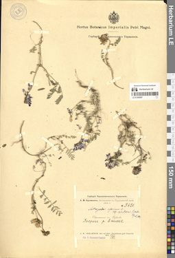 LE 01300087