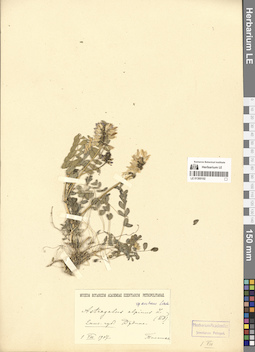 LE 01300102