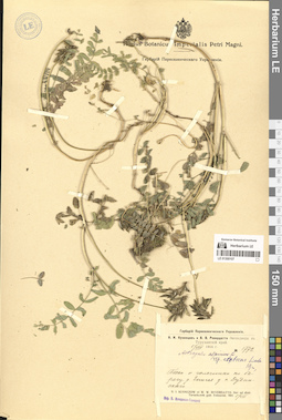 LE 01300107