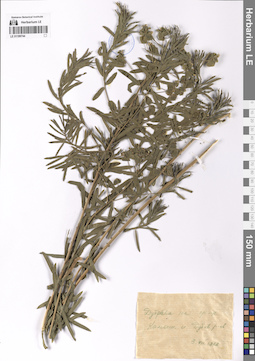 LE 01199744