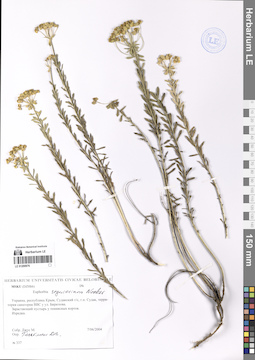 LE 01200976