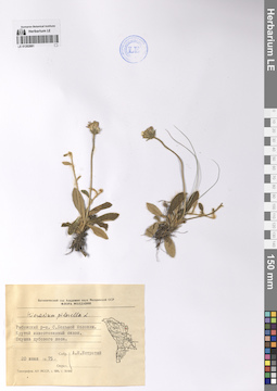 LE 01202881
