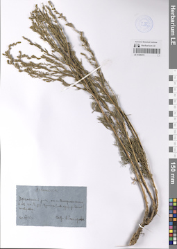 LE 01206372