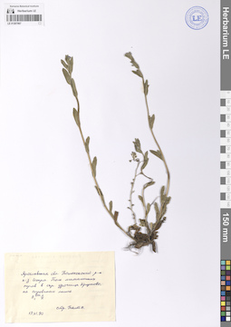 LE 01207067